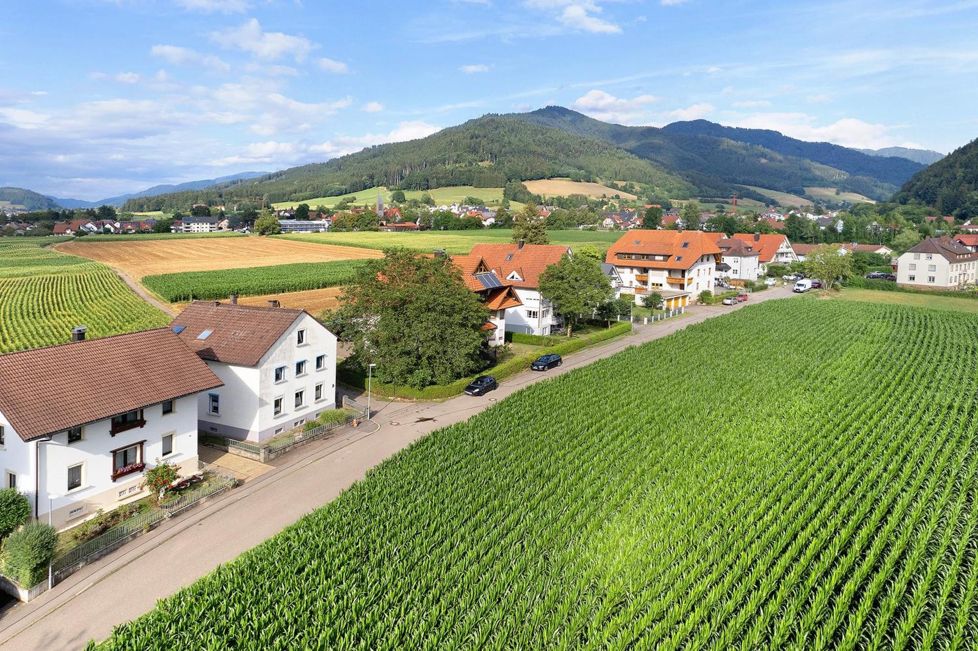 Ferienwohnung Emma Gutach im Breisgau Exterior foto